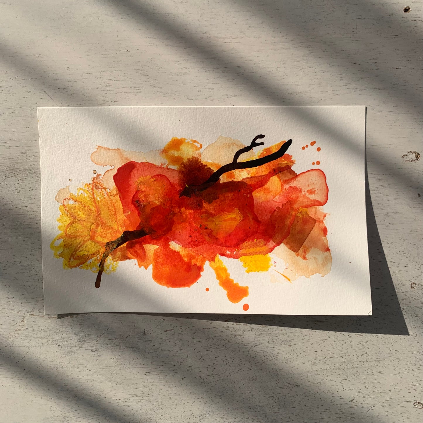 Sunset Bloom 4 (13x20cm)