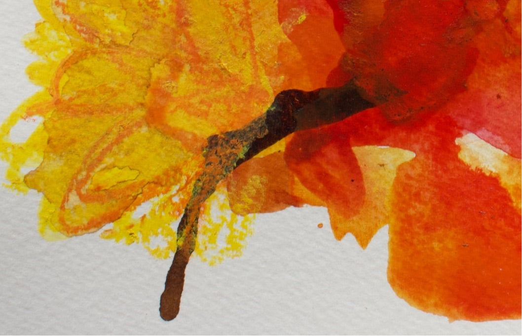 Sunset Bloom 4 (13x20cm)