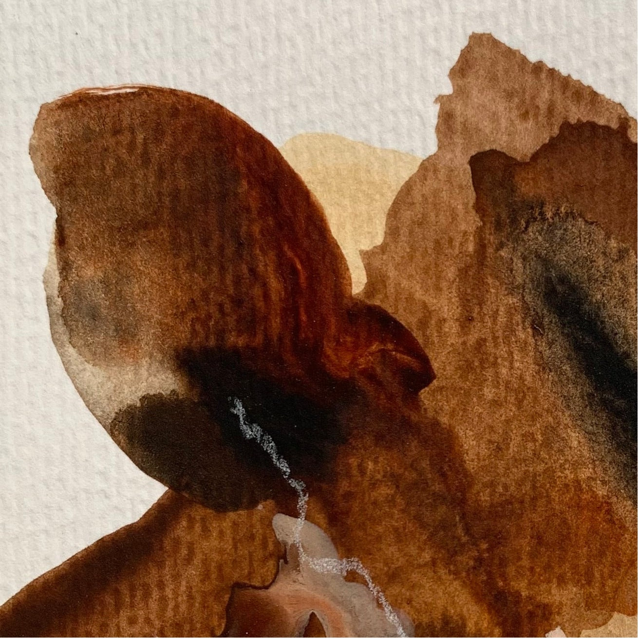 Earthy Tones 6 (12.7x12.7cm / 5x5")